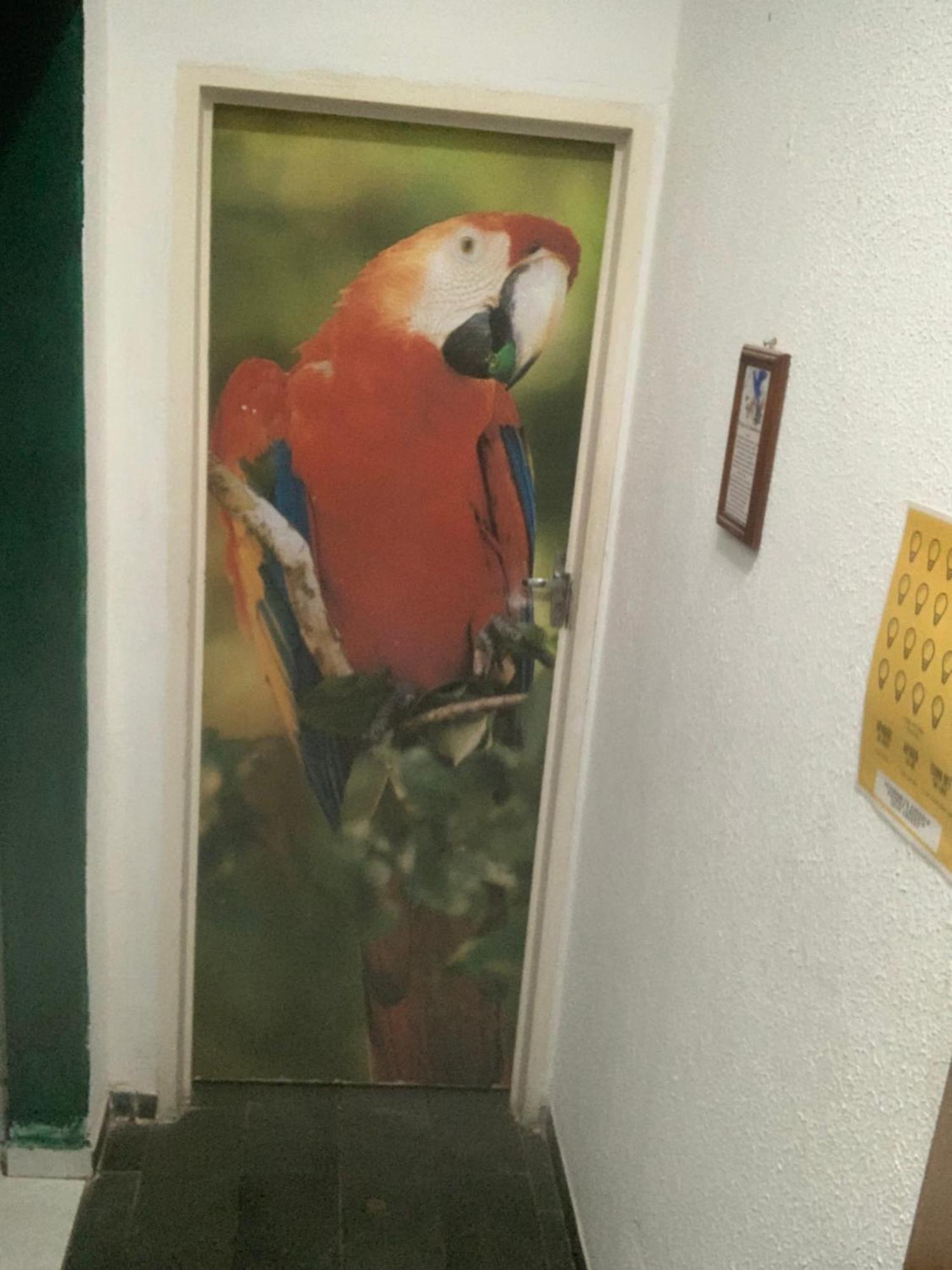 Hotel Pantanal كويابا المظهر الخارجي الصورة